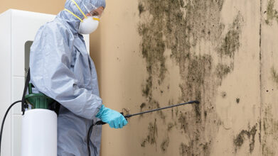 Mold Removal