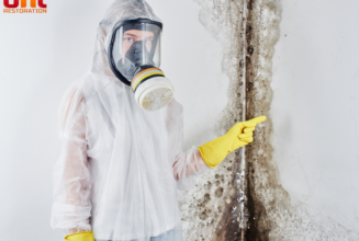 Winter Woes Understanding the Risks of Mold in Cold Climates