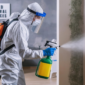 What Every Canadian Homeowner Needs to Know About Mold Cleanup 1 1 85x85
