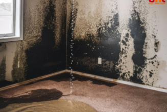 From Mold to Structural Damage: Cost of Ignoring Flood and Water Damage